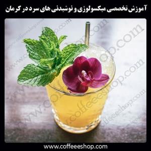 شهر کرمان – آموزش تخصصی میکسولوژی و نوشیدنی های سرد در شهر کرمان با مجوز فنی حرفه ای و پنج مدرک بین المللی