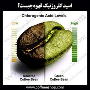 اسید کلروژنیک قهوه