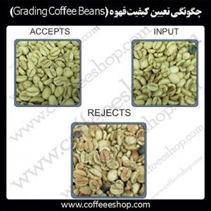 چگونگی تعیین کیفیت قهوه (Grading Coffee Beans):