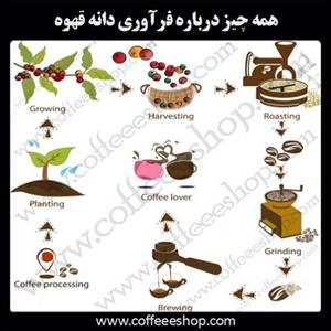همه چیز درباره فرآوری دانه قهوه