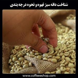 شناخت دانه سبز قهوه و نحوه درجه بندی قهوه سبز