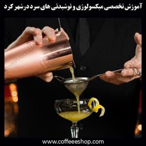 شهرکرد – آموزش تخصصی میکسولوژی و نوشیدنی های سرد در شهرکرد با مجوز فنی حرفه ای و پنج مدرک بین المللی