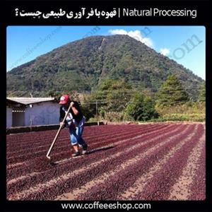 Natural Processing | قهوه با فرآوری طبیعی چیست ؟