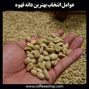 عوامل انتخاب بهترین دانه قهوه