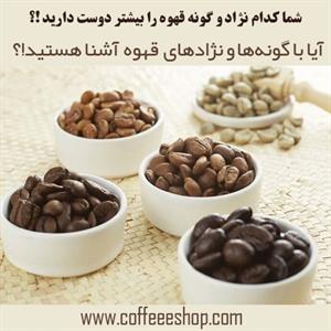 میدونستید قهوه ها هم نژاد دارن؟