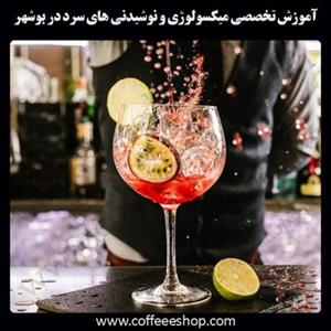 شهر بوشهر – آموزش تخصصی میکسولوژی و نوشیدنی های سرد درشهر بوشهر با مجوز فنی حرفه ای و پنج مدرک بین المللی