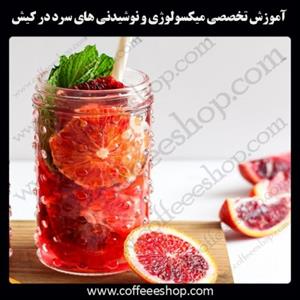 جزیره کیش – آموزش تخصصی میکسولوژی و نوشیدنی های سرد در جزیره کیش با مجوز فنی حرفه ای و پنج مدرک بین المللی