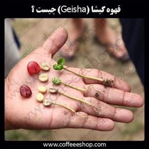 قهوه گیشا (Geisha) چیست ؟