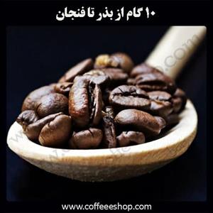 قهوه | ١٠ گام از بذر تا فنجان – از مزرعه تا فنجان قهوه