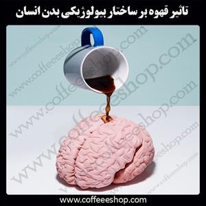 تاثیر قهوه بر ساختار بیولوژیکی بدن انسان
