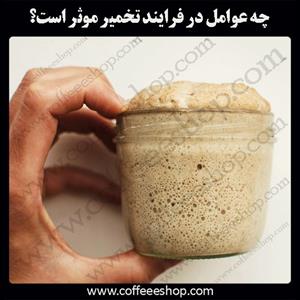 چه عوامل در فرایند تخمیر موثر است؟