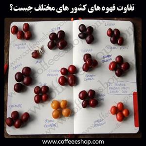 تفاوت قهوه های کشور های مختلف چیست؟