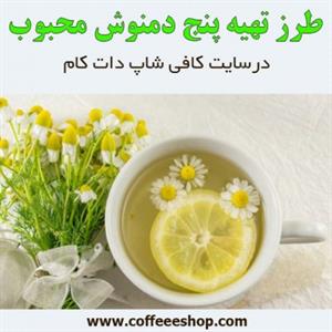 طرز تهیه پنج دمنوش محبوب در سایت کافی شاپ دات کام