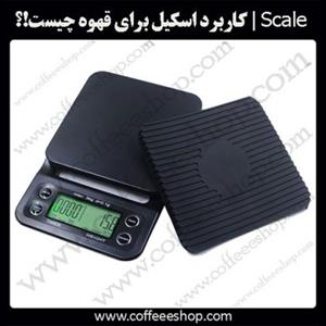 Scale | اسکیل چیست!؟ 