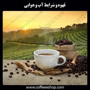 قهوه و شرایط آب و هوایی