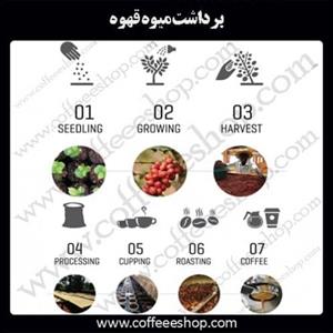 داستان قهوه از مزرعه تا فنجان